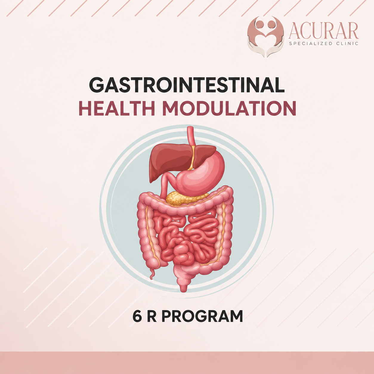 Gastrointestinal Health: Meet the 6R Program